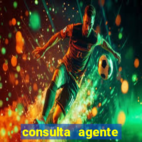 consulta agente autuador sp